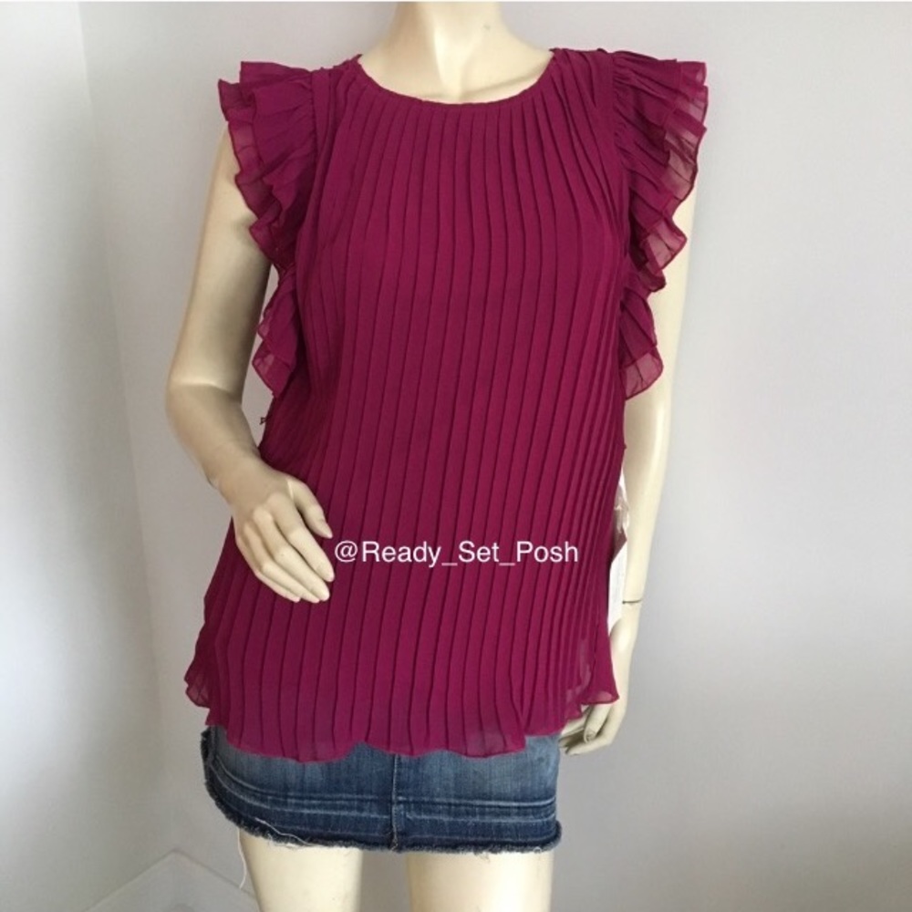 🎉HP🎉 Wendy Katlen pleated blouse with Ruffled